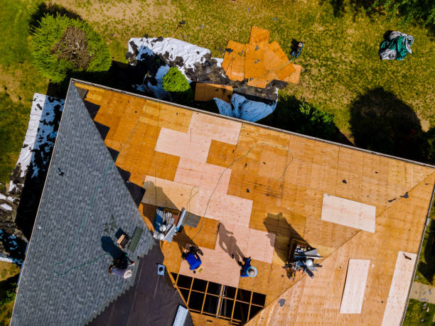 Best Storm Damage Roof Repair  in Rexland Acres, CA